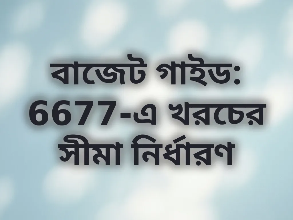 বাজেট গাইড